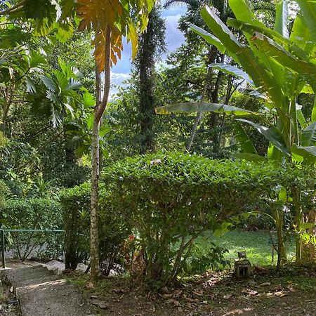 Colina Secreta - Glamping And Villas Puerto Viejo de Talamanca Luaran gambar